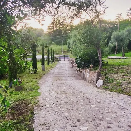 Casale Gattini Vetralla