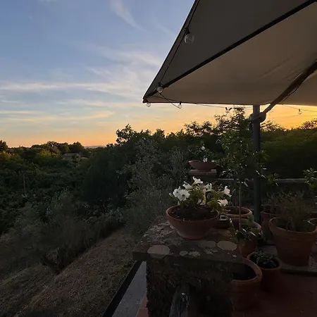 Villa Casale Gattini Vetralla